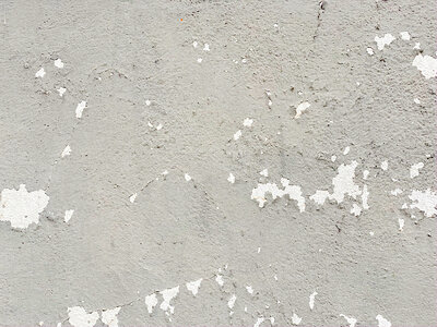 Grunge White Wall with Flaking Paint photo