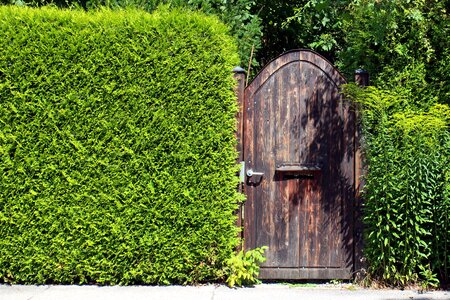 Door input garden gate photo