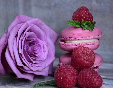 Beautiful Flowers beautiful photo biscuit