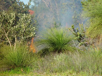 Fire smoke 