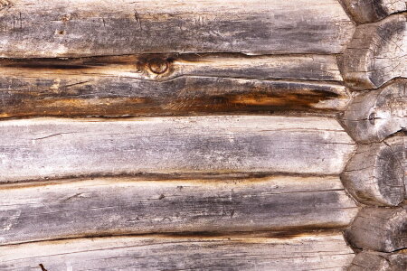 Wood Background photo