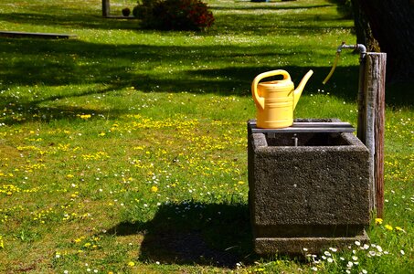 Faucet flowers grass