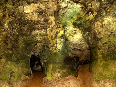 Rock jungle nature