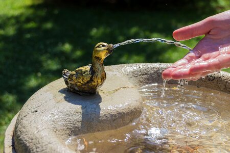 Drink heat cooling photo