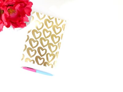 Book dairy love