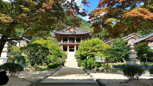 Section temple landscape