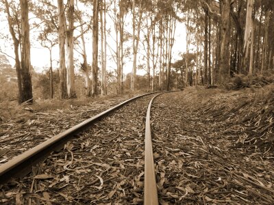 Train steam transportation