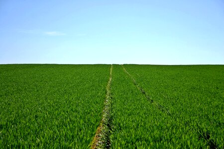 Sky horizon agriculture