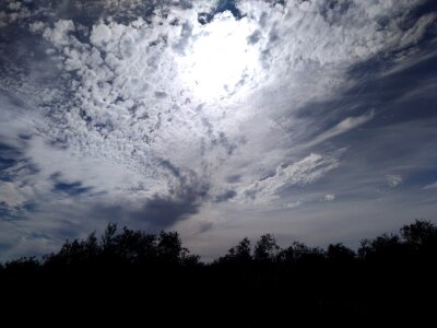 Atmosphere branch cloud photo