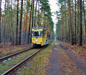 Railcar forest track woltersdorf - berlin photo