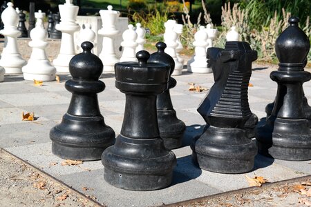 Chess chess board chess pieces photo
