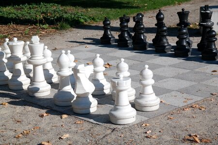 Black white chess game photo
