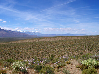 Desert and Grasses with mountains under skies