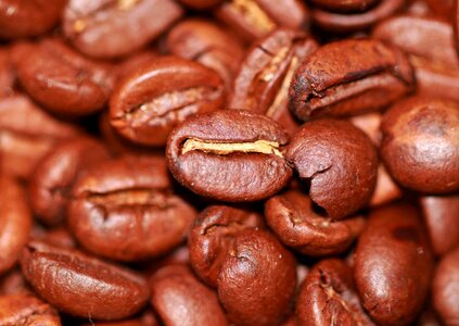 Aroma cafe coffee beans photo