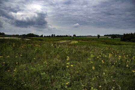 Farms and Marsh Grasses under cloudy Skies at Horicon marsh photo