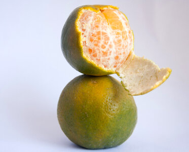 Citrus Fruits Orange photo