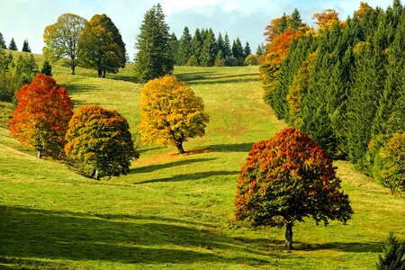 Autumn autumn season countryside photo