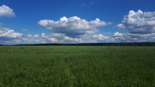 Crops field pasture