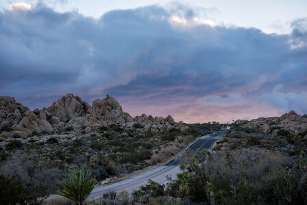 Boulders and Joshua Trees in Joshua Tree National Park