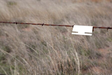 Barbed Wire desert iron photo