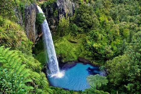 Nature north island green photo