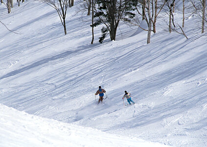 Two Skiers skiing downhill in high mountains photo