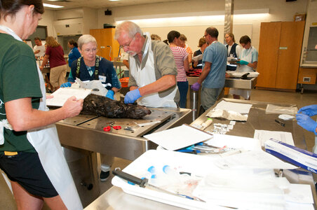 Marine Mammal Stranding Course at NCTC-9
