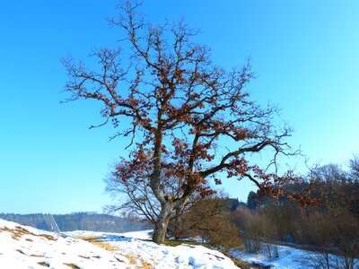 Cold ice blue sky