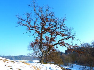 Cold ice blue sky photo