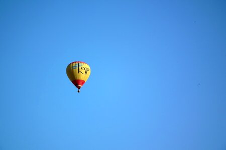 Fly transport yellow