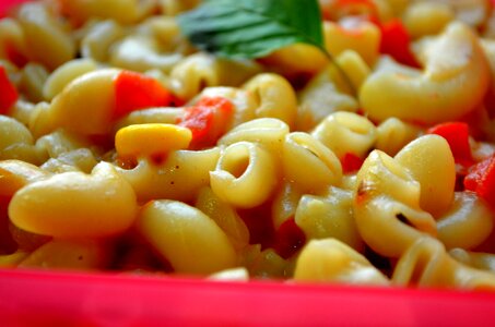 Pasta Macaroni