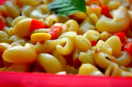 Pasta Macaroni photo