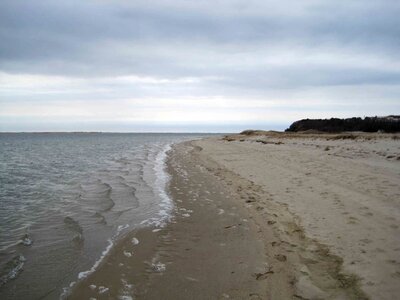 Cape domestic nature