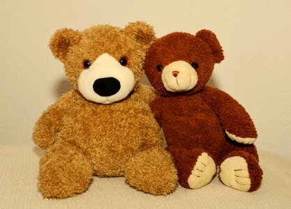 Friendship bears cuddly