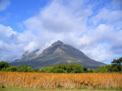 Devil's Peak landscape in Cape Town, South Africa photo