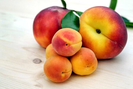 Apricot beautiful photo delicious