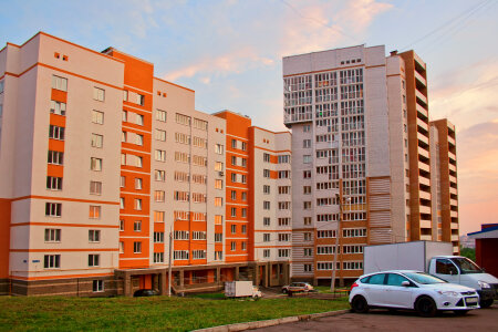 yard and cars photo