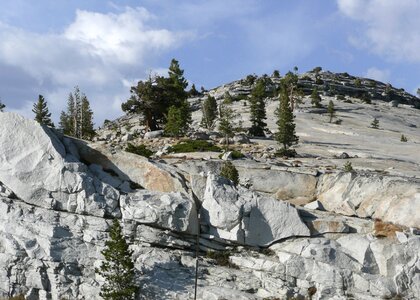 Cliff Yosemite National Park California