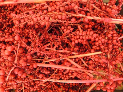 Berries fruit decoration