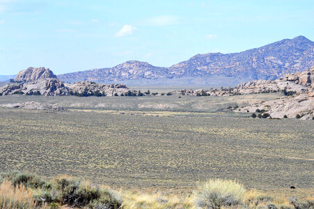 Wide open sagebrush habitat