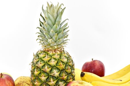 Pineapple health tropical photo
