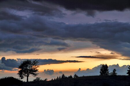 Evening tree storm clouds photo