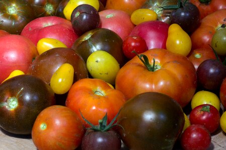 Garden harvest macro