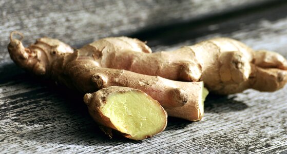 Ginger plant root photo