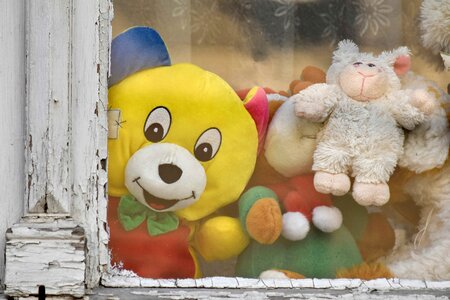 Toys window teddy bear toy