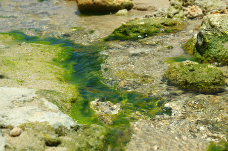 2 Water's edge