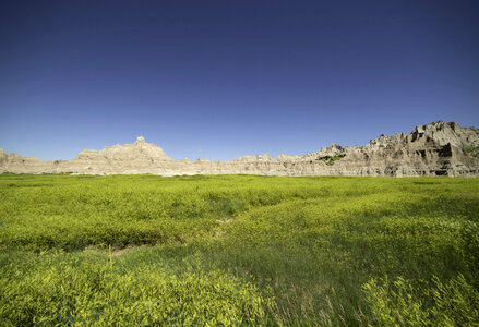 Rocky Hills and Yellow Flowers photo