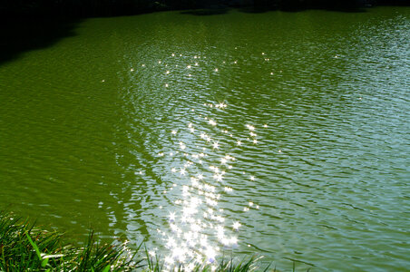 3 The surface of the water