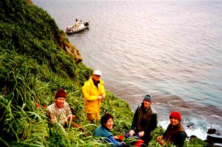 Coast group hill