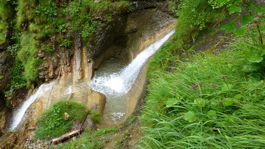Waterfall forest grass